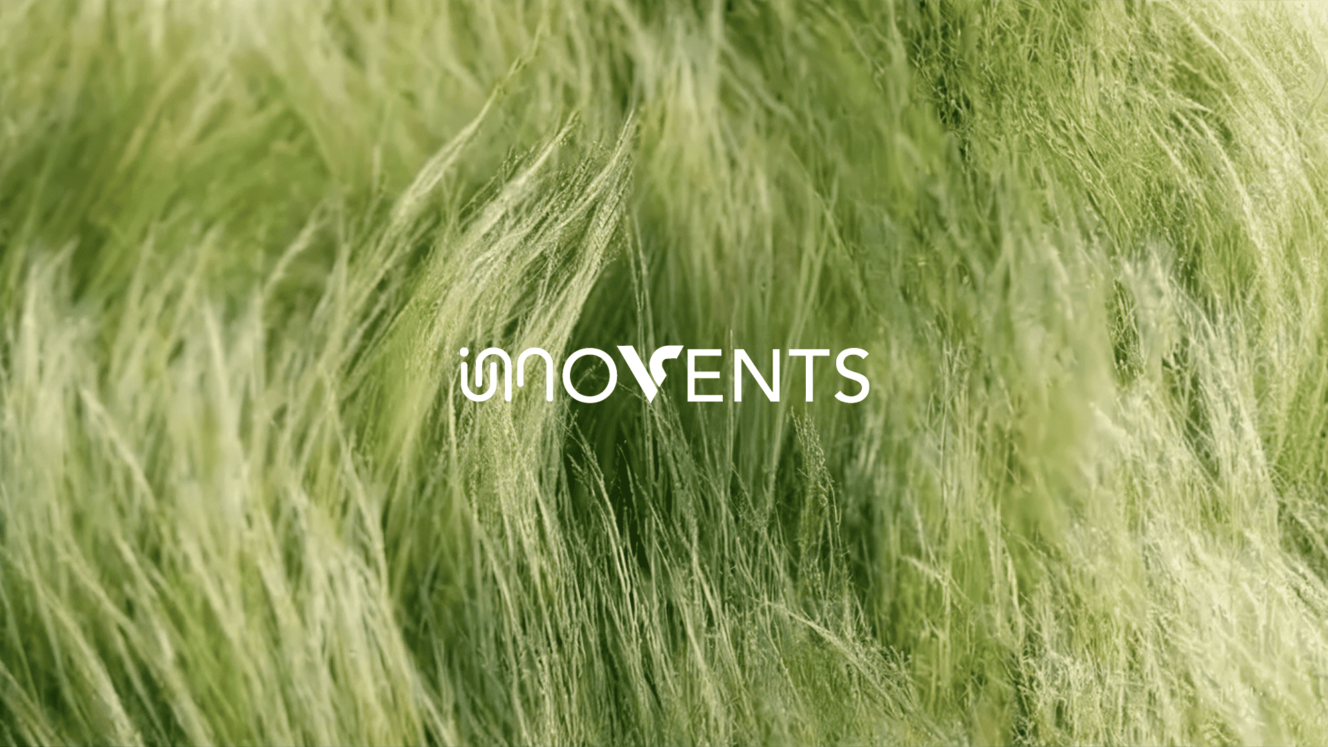 Innovents